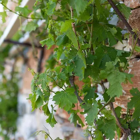 Estate Naxos - Private Hillside Estate Villa Akrotiri (Naxos)