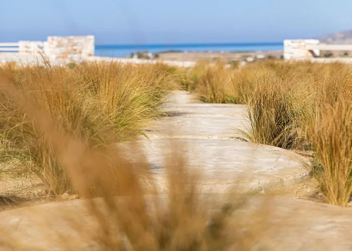 Estate Naxos - Private Hillside Estate Vila
